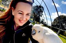 TASTE OF THE WHEATBELT private day tour to New Norcia and beyond.