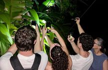 Manuel Antonio and Night Walking Tour with a Naturalist Guide