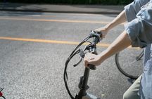 Tokyo: Private E-Bike Tour of the Imperial Palace Area