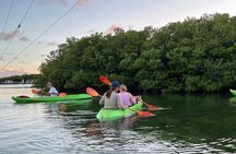 Key West Clear Kayak Eco Tour