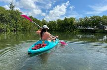 Key West Clear Kayak Eco Tour