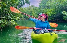 Key West Clear Kayak Eco Tour