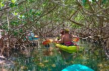 Key West Clear Kayak Eco Tour