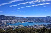 Nagasaki Highlights Private Full Day Tour by Car