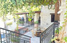 Taste of Paphos Hills: Boutique Wine Tour & Scenic Escape