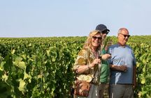 Medoc or Saint Emilion Wine Tasting and Chateau from Bordeaux