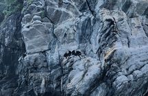 Eco Night Kayak Cruise: Bioluminescent Plankton in Lan Ha Bay