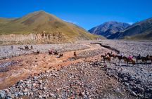 6-Day Andes Crossing from Mendoza to Chile by Horse