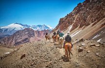 6-Day Andes Crossing from Mendoza to Chile by Horse
