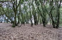 The Hidden Charleston and Rathfinney walk