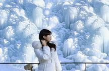 Seoul Winter Tour: Strawberry Picking, Gamaksan & Hanok Village