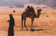 4h Jeep Tour + Bedouin Night (Dinner & Breakfast)