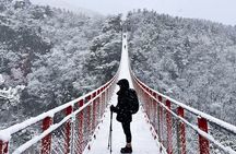 Seoul Winter Tour: Strawberry Picking, Gamaksan & Hanok Village