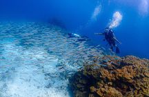 Phuket Scuba Diving Racha Islands for All Level Divers