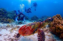 Phuket Scuba Diving Racha Islands for All Level Divers