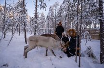 Ranua Lupland Activity Park Entry with Reindeer Experience