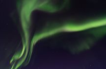 From Reykjavík Northern Lights Chase in a 4x4 Sprinter