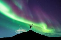 From Reykjavík Northern Lights Chase in a 4x4 Sprinter