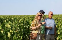 Essential Wine Tour with Tasting & Chateau Visits from Bordeaux