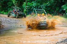 Full Adventure Adrenaline Nature Zipline Buggy and Horse