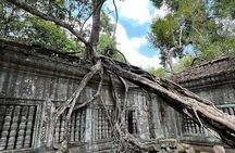 Private Beng Mealea and Koh Ker Temples Tour
