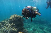 Diving exploration for beginners in Los Arcos de Mismaloya