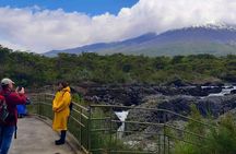 Shore Excursion Frutillar, Petrohue Falls and Puerto Varas 