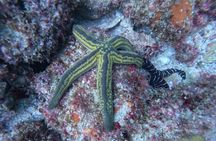 Explore Los Arcos and Playa