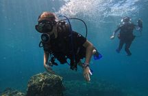 Diving exploration for beginners in Los Arcos de Mismaloya