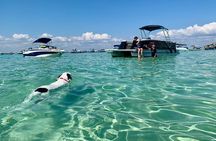 2 Hour Private Captained Crab Island Dolphin Tour in Destin