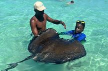 Family-Friendly Stingray City Tour – Ages 0+