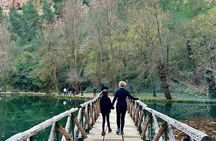 Explore the Stone Monastery and discover Sigüenza from Madrid