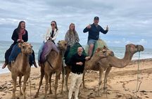 Tangier; Caves of Hercules & Cap Spartel including Camel ride