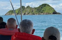 Whale and Dolphin Watching in the Whale Marine Park