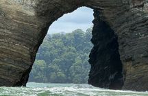 Whale and Dolphin Watching in the Whale Marine Park