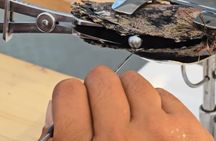 Snorkeling Discovery DE the Black Pearl and Lunch in Bora Bora