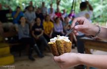 Chocolate and Cultural Tour in Costa Rica
