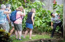 Chocolate and Cultural Tour in Costa Rica