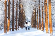 Half Day Tour to Eobi Ice Valley and Nami Island