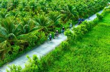 Mekong Delta Full Day River and Culture Food Tour