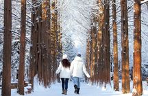 Eobi Ice Valley, Nami Island and Petite France tour in Seoul