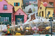 Eobi Ice Valley, Nami Island and Petite France tour in Seoul