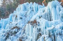 Eobi Ice Valley, Nami Island and Petite France tour in Seoul