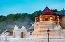 Sri Lanka 5 Day Tour in Sigiriya Kandy and Scenic Wonders 