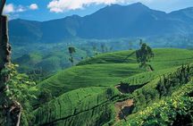 Sri Lanka 5 Day Tour in Sigiriya Kandy and Scenic Wonders 