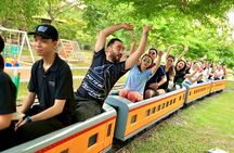 Chiang Mai Zipline High Rope Experience at Phoenix Adventure Park