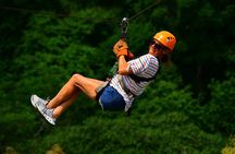 Puntarenas Private Shore Excursion: Crocodiles & Zipline