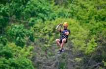Puntarenas Private Shore Excursion: Crocodiles & Zipline