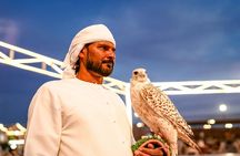 Dubai Desert Escape: Red Dunes Safari, Falcon, Camel & BBQ Dinner