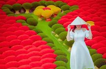 Hanoi Private Tour: Buddhism Perfume Pagoda & Incense Village 